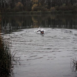 ORCA Mens Athlex Flow Triathlon Wetsuit -Deep Wetsuit 40829 202320Orca20Mens20Athlex20Flow20Triathlon20Wetsuit20MN14TT4220 20Silver20Total20333.2000x2000