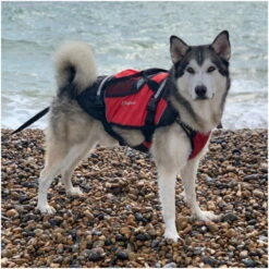 Crewsaver Pet Dog / Cat Lifejacket Float